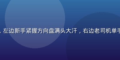 老司机漫画新手老手对比系列，左边新手紧握方向盘满头大汗，右边老司机单手开车悠然听歌，对比鲜明搞笑